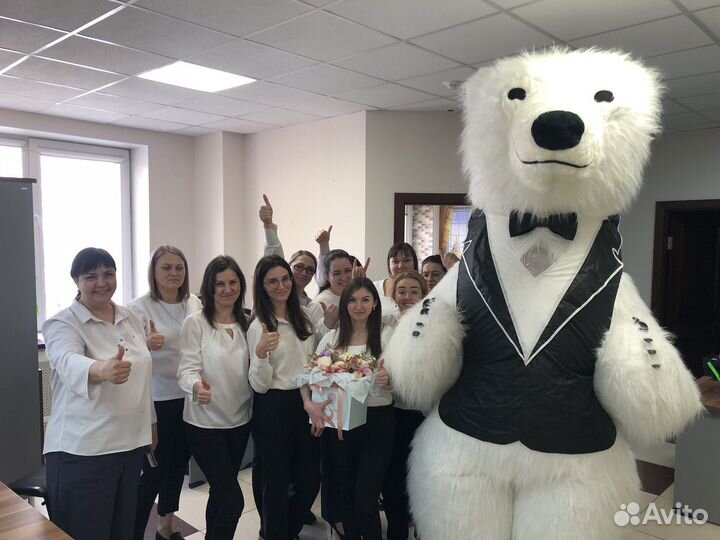 Поздравление медведя белый мишка поздравление