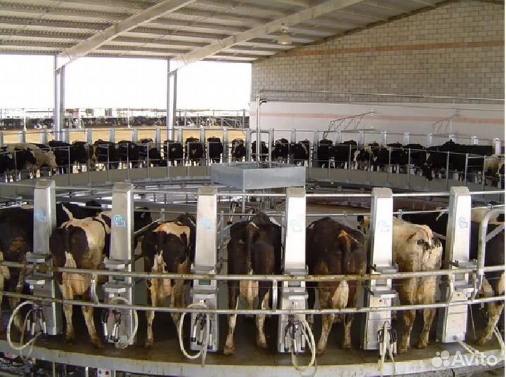 Молочный зал, Молочное оборудование