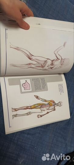 Книга Figure drawing. Рисунок анатомия