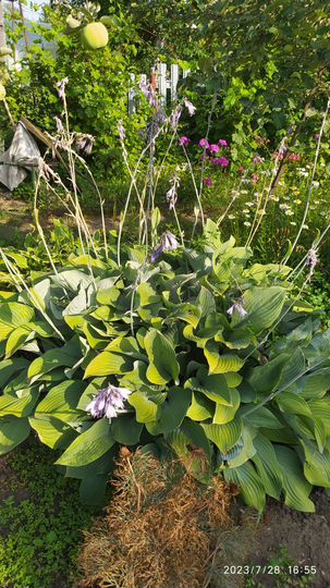 Дача 30 м² на участке 6 сот.