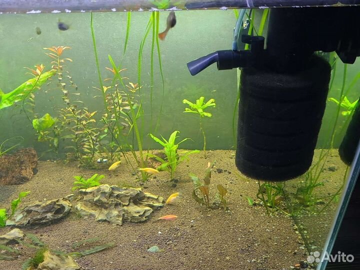 Аквариум 150 литров