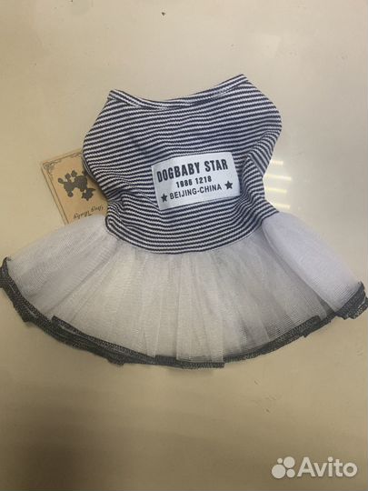 Одежда для собак мелких пород