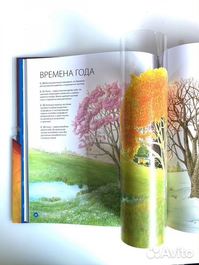 Книга Загляни внутрь Земля 2D изд. Махаон