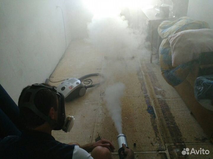 Уничтожение клопов тараканов клещей плесени крыс