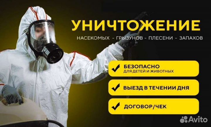 Дезинфекция