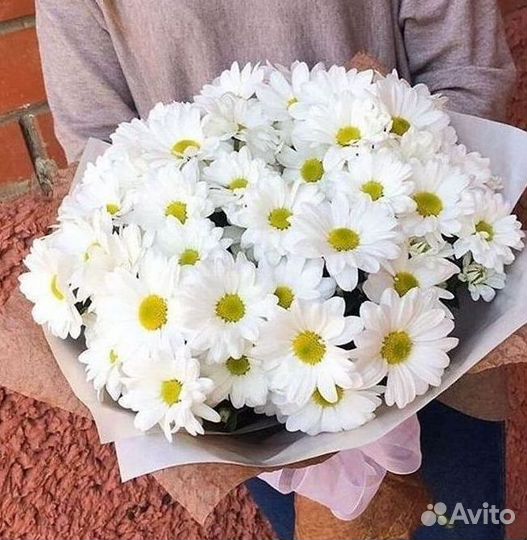 Хризантема. Букеты Цветы доставка