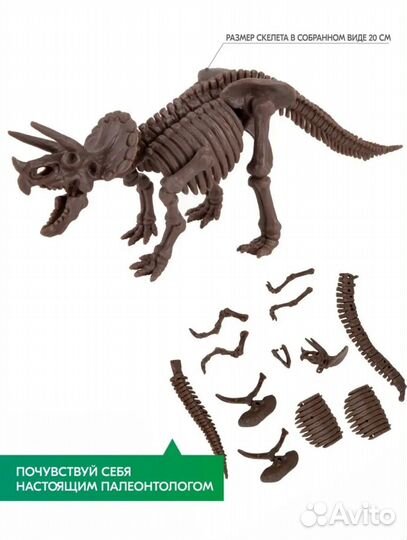 Игра для детей расскопай скелет динозавра