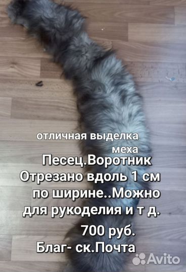 Воротник песец