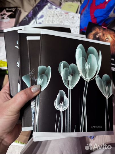 Тетради и канцелярия hatber erich krause