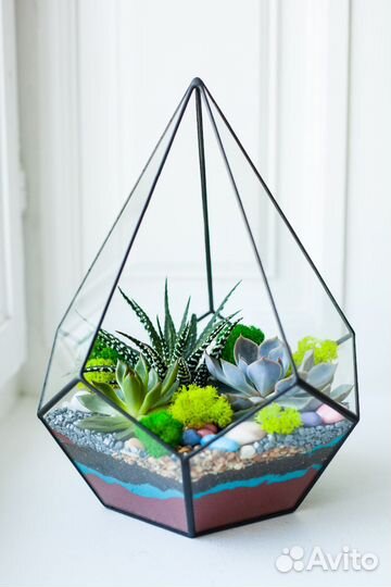 Флорариум с суккулентами