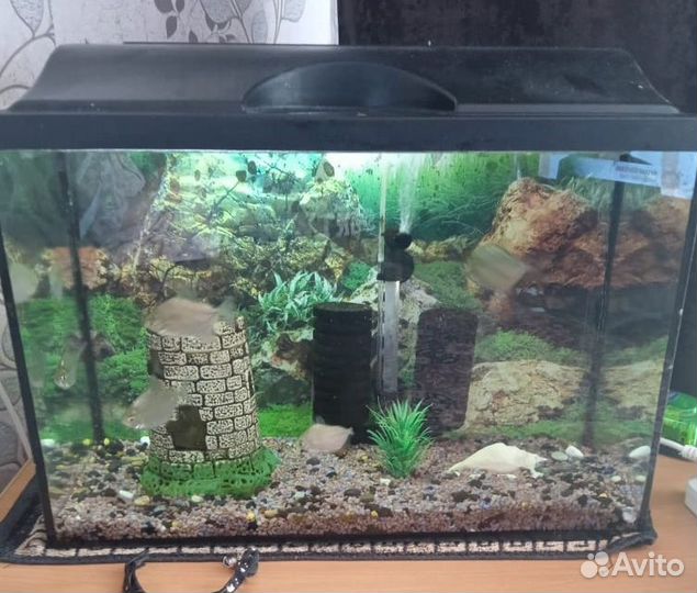 Аквариум