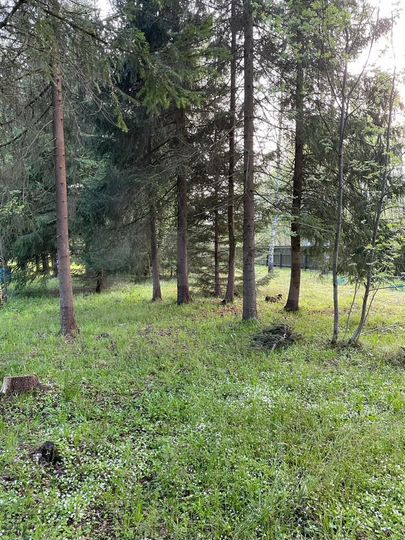 Дача 70 м² на участке 24 сот.