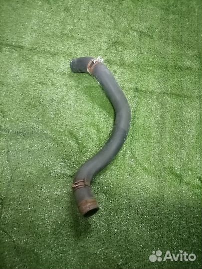 Патрубок охлаждения (радиатора) 19505-RBA-000нижни