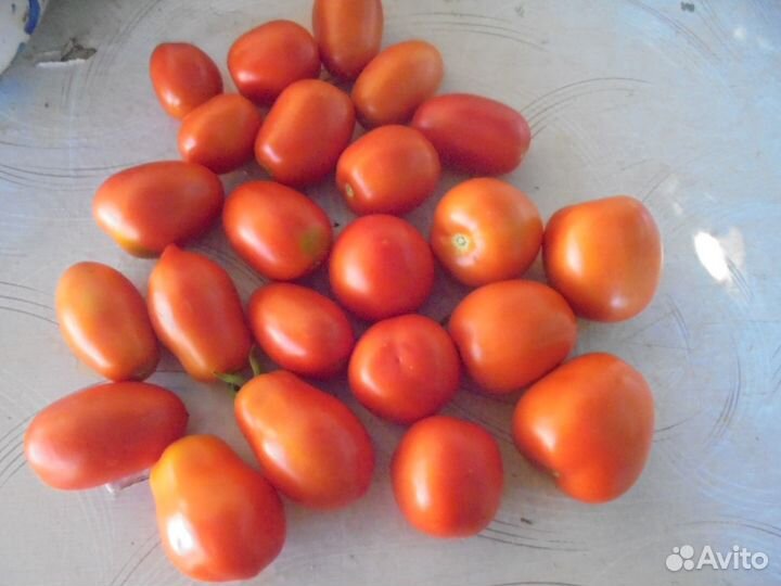 Томаты салатн/засол Тыква Кабачки Перец Чеснок