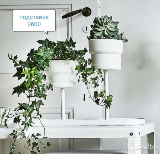 Бекант, элловен, чилистрон, икеа