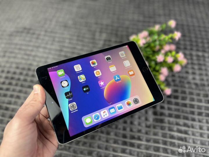 iPad Mini