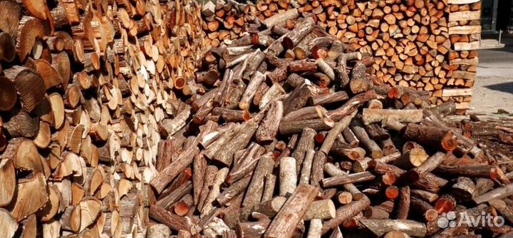 Дрова с Зеленогорска