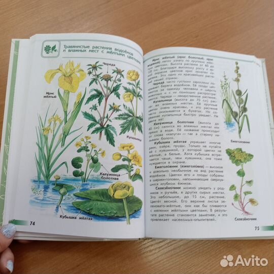 Атлас-определитель. Плешаков А. А