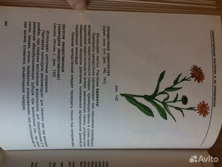 Книга лекарственные растения