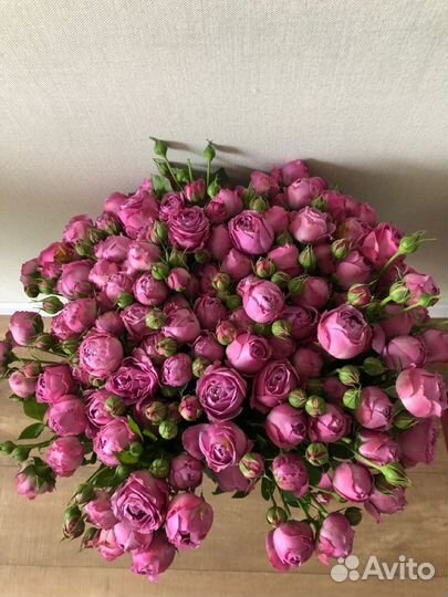 Пионовидные Кустовые Розы Ставрополь Доставка