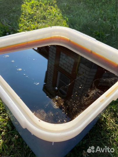 Свежий мёд Горный Опт