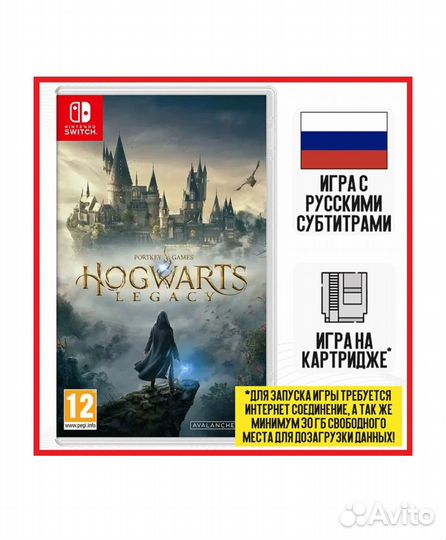 Hogwarts Legacy nintendo switch
