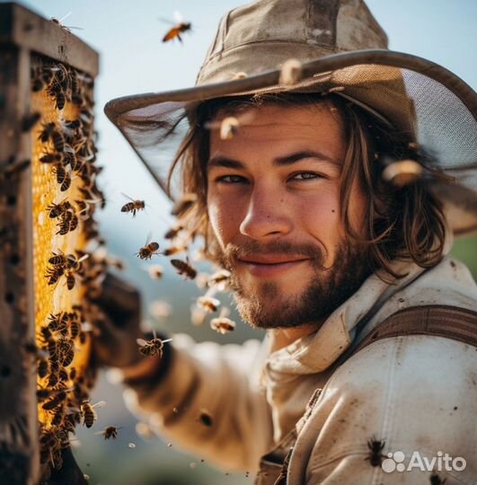 Мёд натуральный алтайский опт. min 16kg