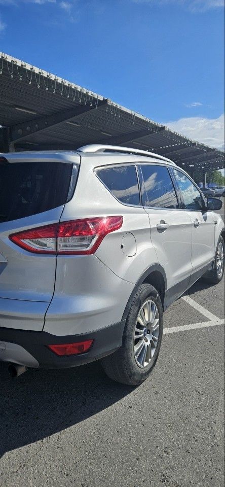 Ford Kuga: фото владельца