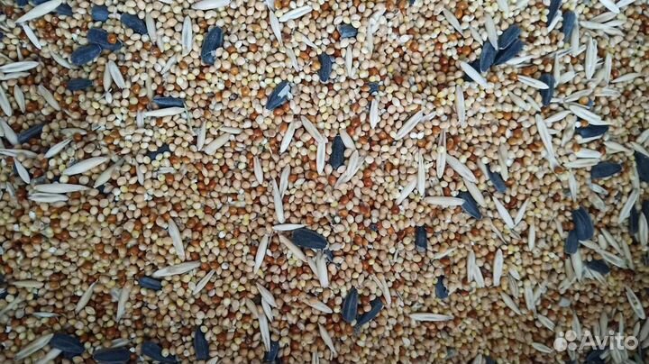 Корм для попугаев, канареек, и экзотических птиц