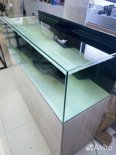 Аквариум морской