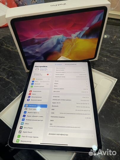 iPad pro 11 256gb cellular