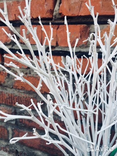 Веточки декоративные