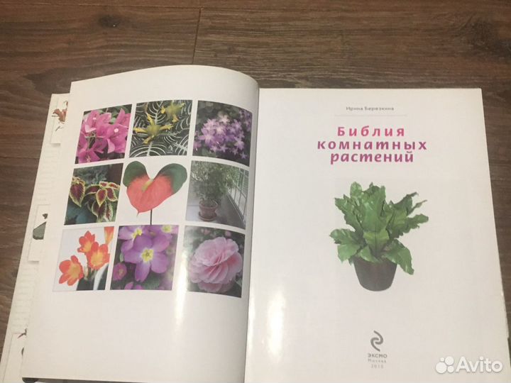 Библия комнатнах растений