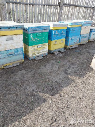 Ульи для пчел бу