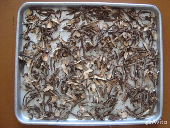 Лекарственные травы и плоды