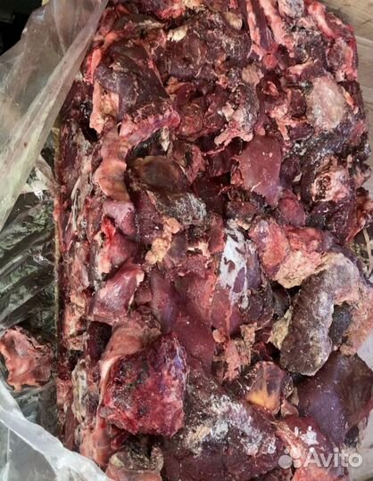 Мясо говядина для собак