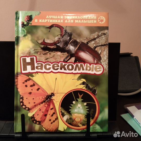 Детская энциклопедия Насекомые