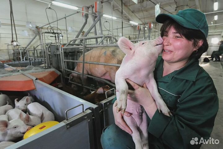 Помощники мастера на Агрокомплекс М/Ж