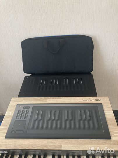 Roli seaboard rise 25