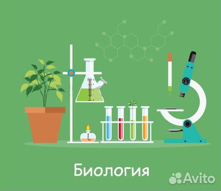 Репетитор по биологии