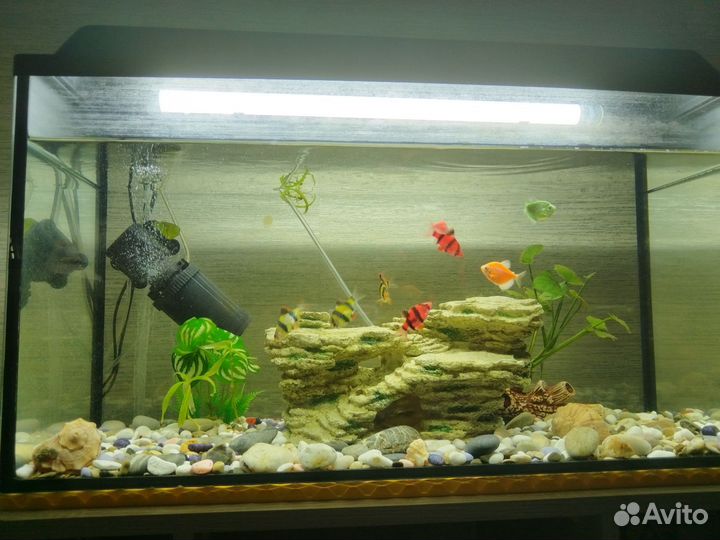 Аквариум