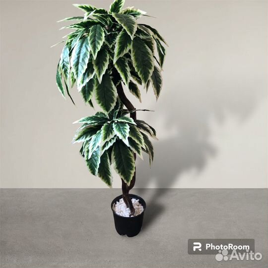 Искусственные растения для декора