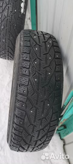 Tigar Ice 185/65 R15