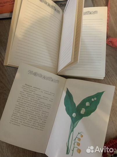 Ежедневник,и др ссср,ластик