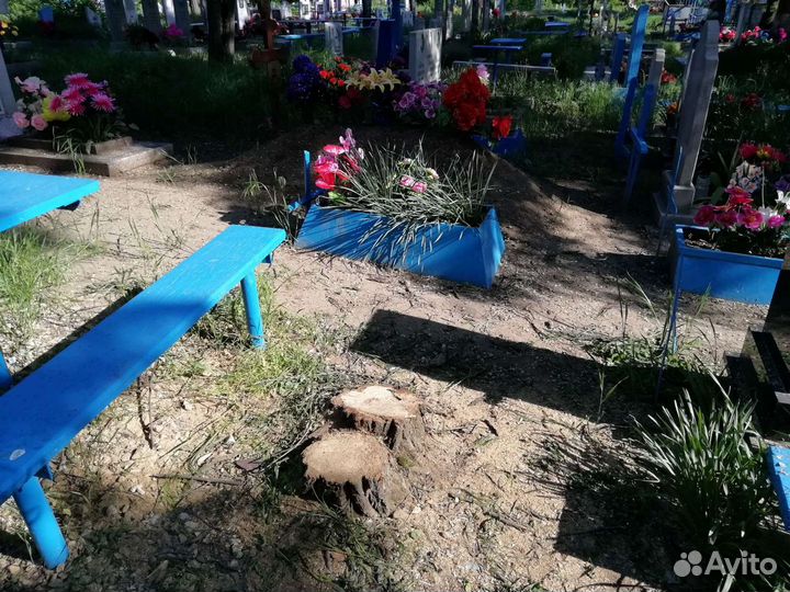 Спил деревьев