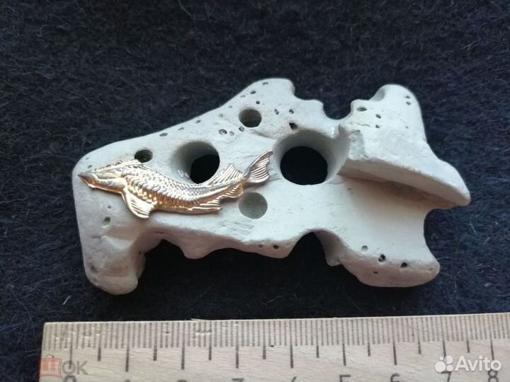 Рыбка на камне.окаменелость. морская тема