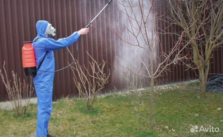 Средство для Уничтожения клопов тараканов плесени клещей