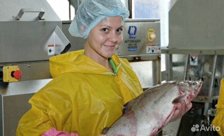 Требуются разнорабочие(вахта)