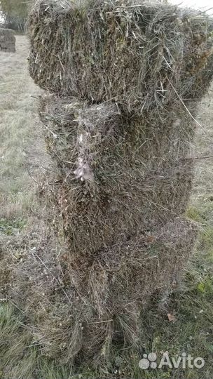 Сено в тюках