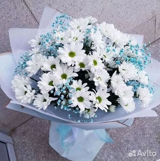 Хризантема Доставка цветов